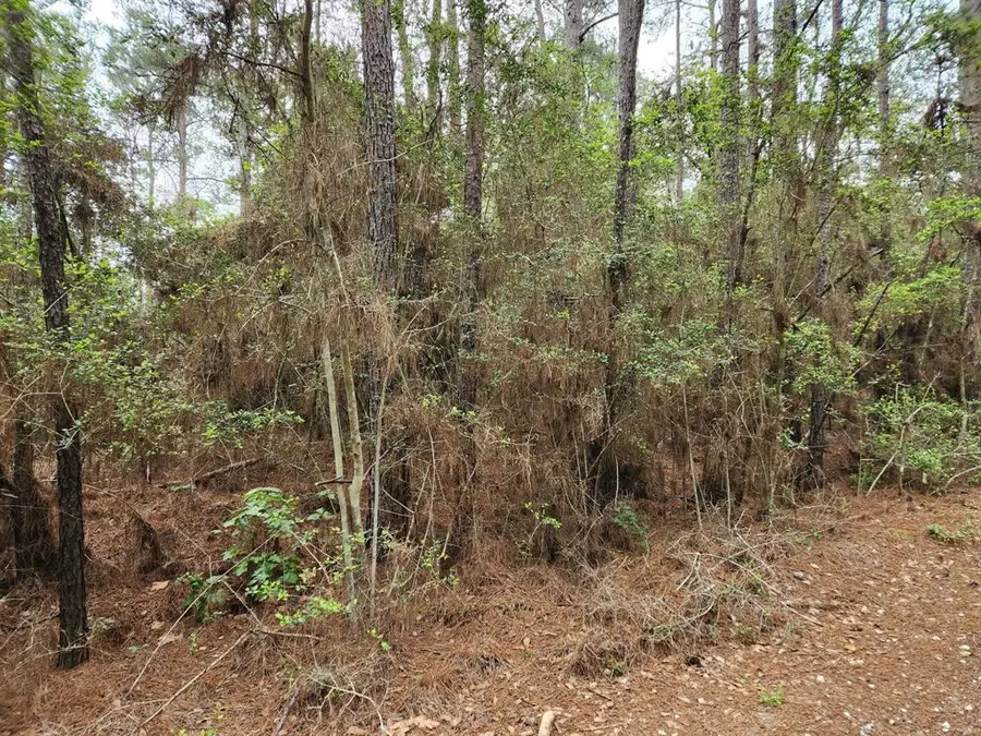 Lot 25 North Council Drive, Hempstead, TX 77445 - #3