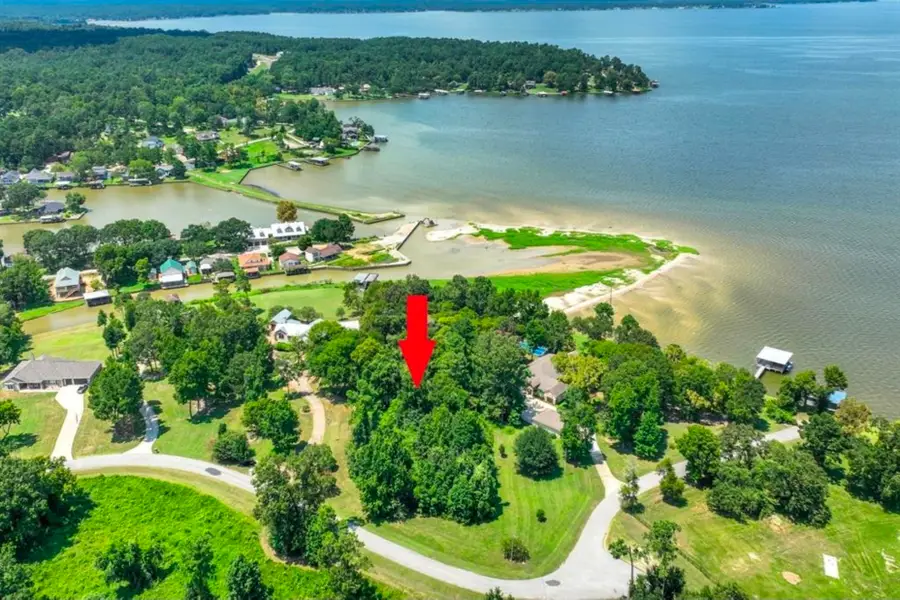0 Tbd Harrell Cemetery Road, Coldspring, TX 77331 - #3