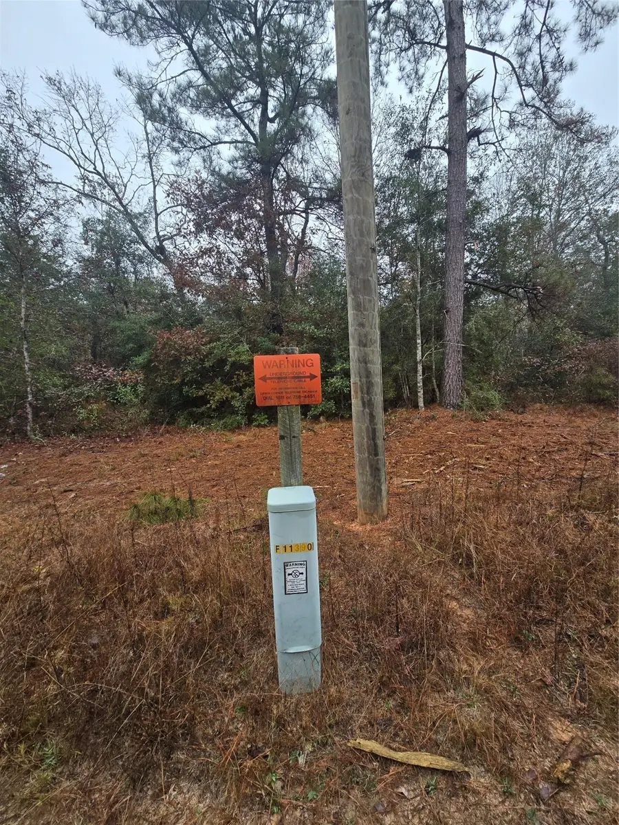 00 Clint Parker Road, Willis, TX 77303 - Image #3