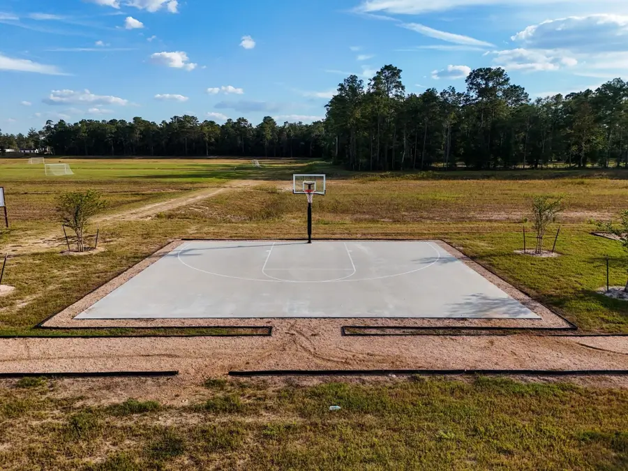 18475 Novarra Drive, Conroe, TX 77306 - Image #3