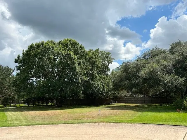 33307 Whiting Street, Fulshear, TX 77441 - Image #1