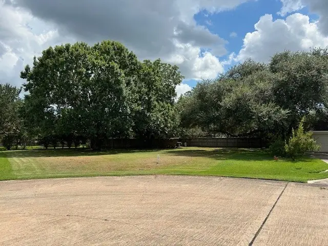 33307 Whiting Street, Fulshear, TX 77441 - Image #2