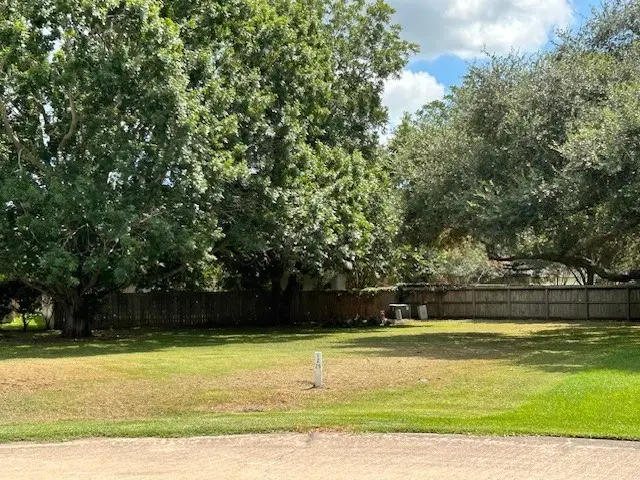 33307 Whiting Street, Fulshear, TX 77441 - Image #3