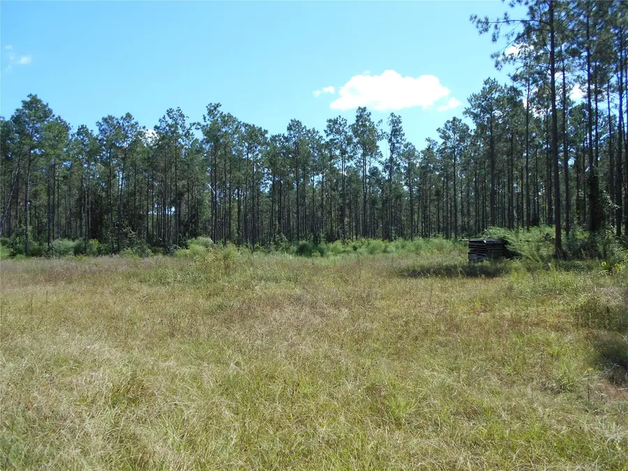 0 Bragg Road, Kountze, TX 77625 - Image #3