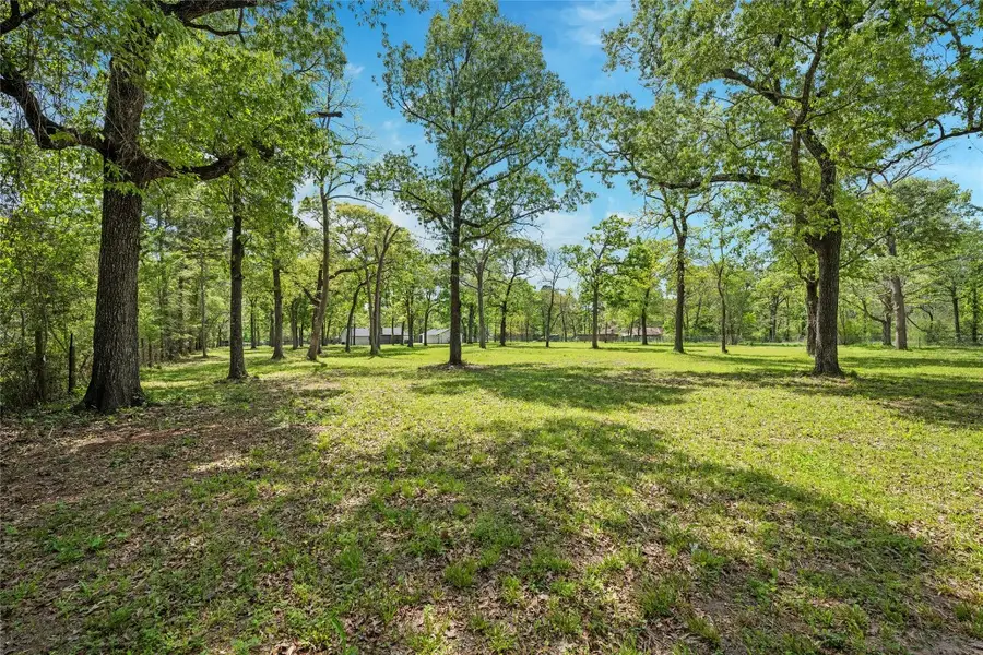 12335 Twin Pines, Conroe, TX 77303 - #2
