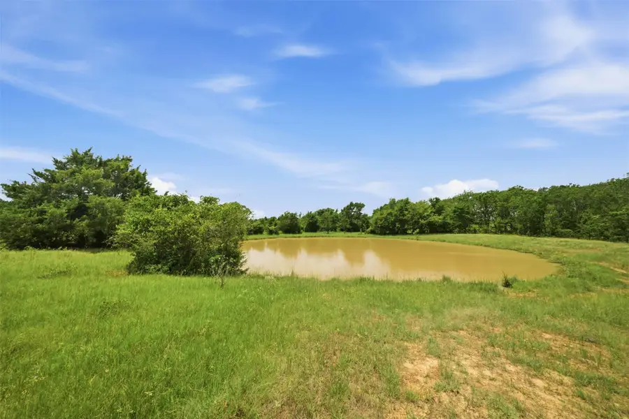 Tract 3 Holly Cemetery Road, Franklin, TX 77856 - #2