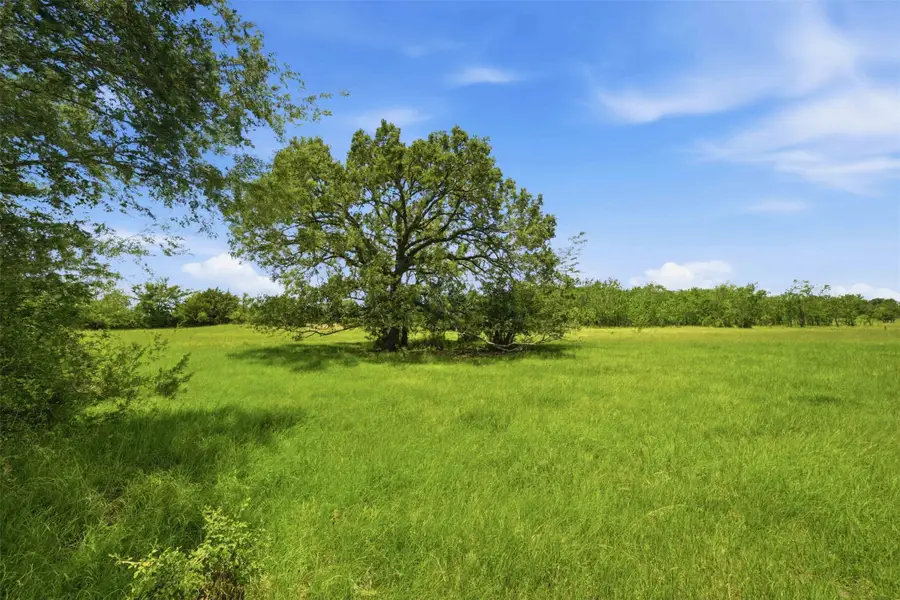 Tract 3 Holly Cemetery Road, Franklin, TX 77856 - #3
