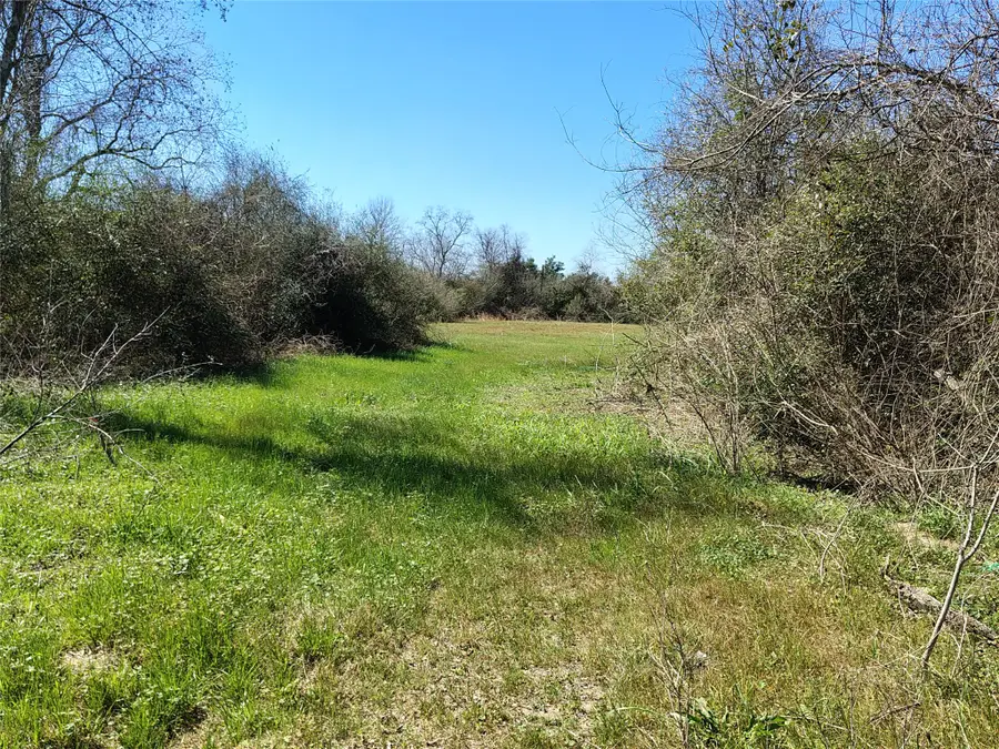 tbd Brumlow Road, Waller, TX 77484 - #2