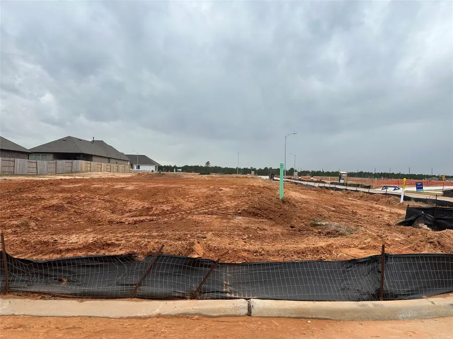 411 Twilight Meadow Way, Richmond, TX 77406 - #3