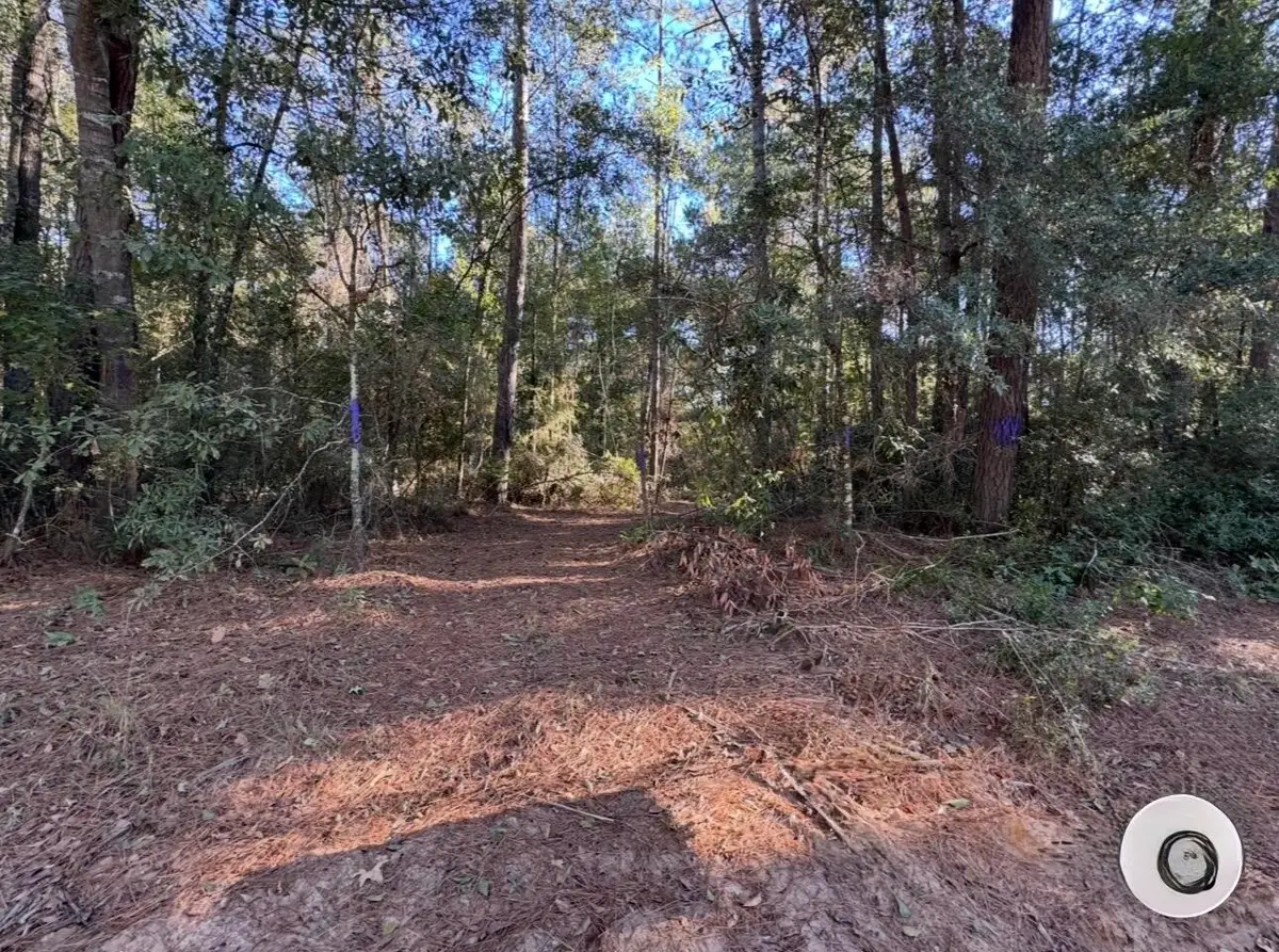 TBD Sandy Creek Road, Willis, TX 77378 - Image #1