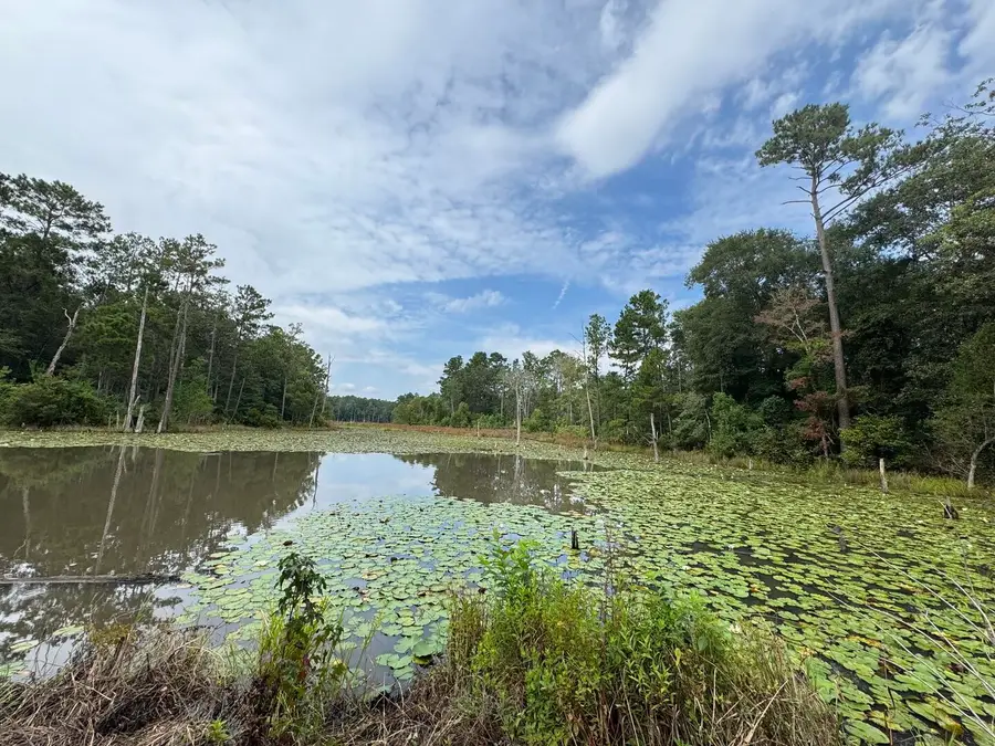 TBD Sandy Creek Road, Willis, TX 77378 - Image #2