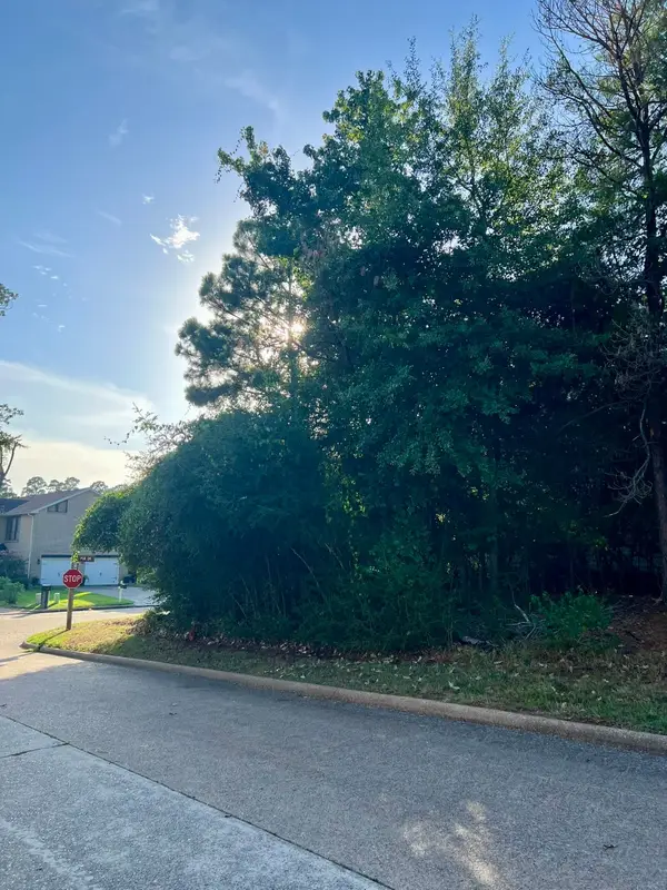 3102 Poe Drive, Montgomery, TX 77356