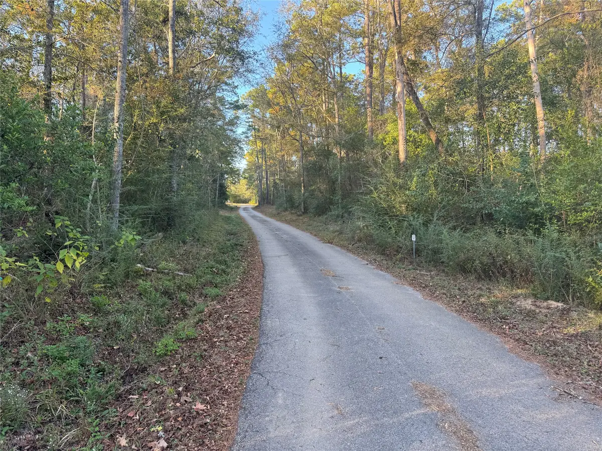 TBD Eastwood Avenue, Coldspring, TX 77331 - #1