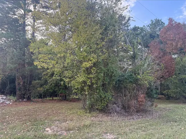 0 Silver Hickory Drive, Coldspring, TX 77331