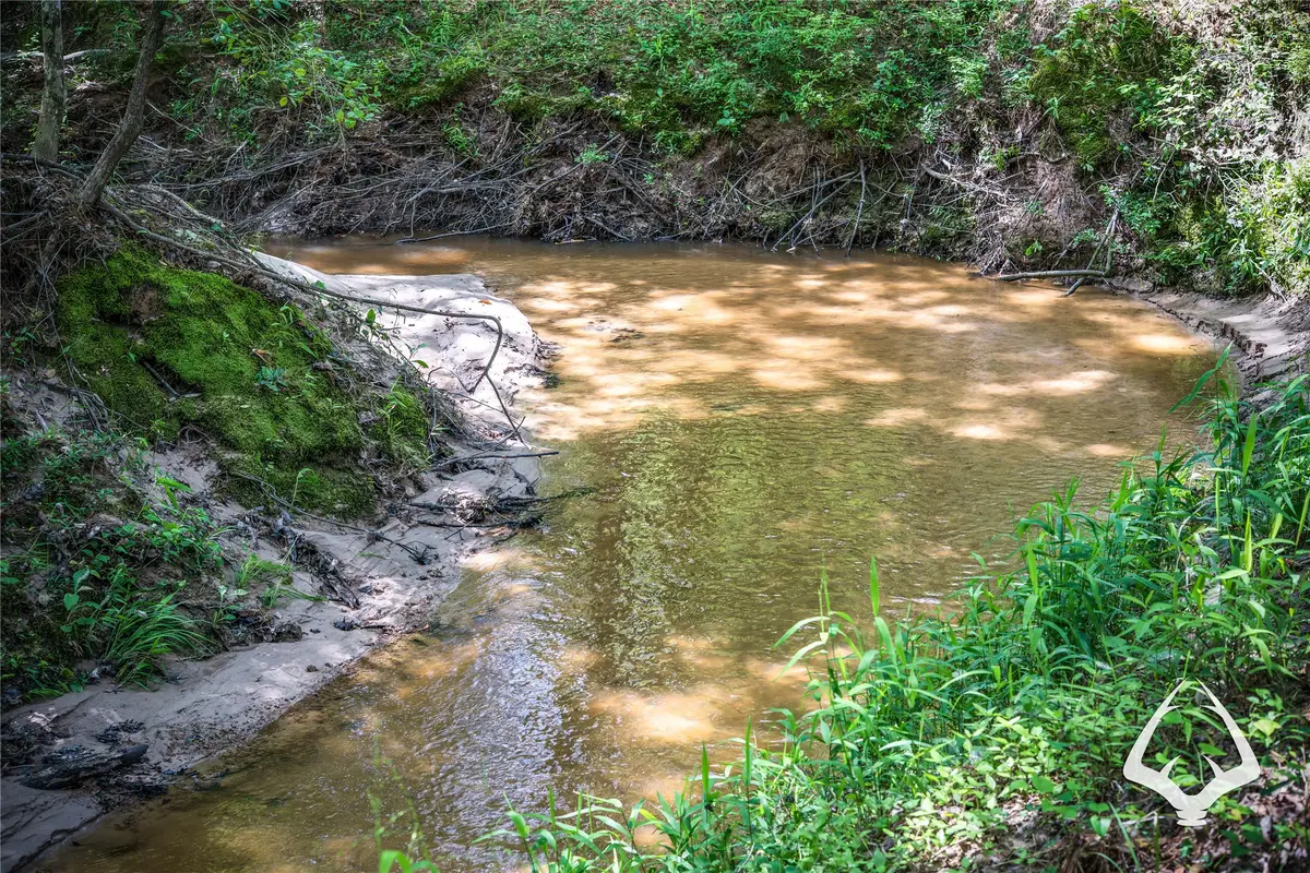 00 Fm 83, Bronson, TX 75930 - Image #1