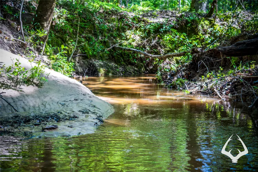 00 Fm 83, Bronson, TX 75930 - Image #2