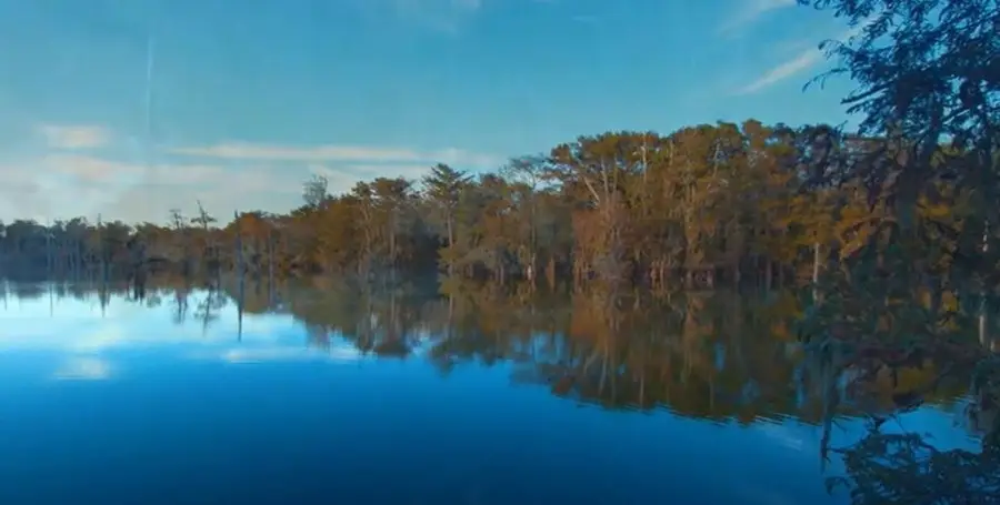 478 Center Drive, Cleveland, TX 77327 - #3