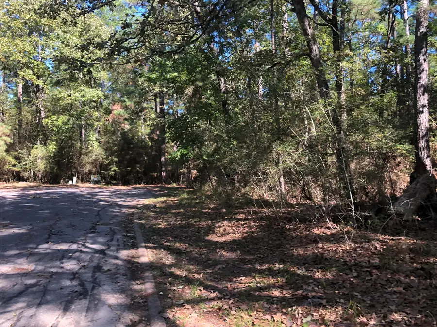 Lot 9 Rohm Place, Huntsville, TX 77320 - Image #3