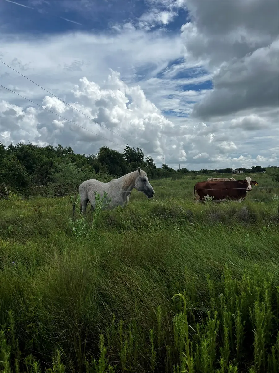 0 County Road 306, Brazoria, TX 77422 - #2