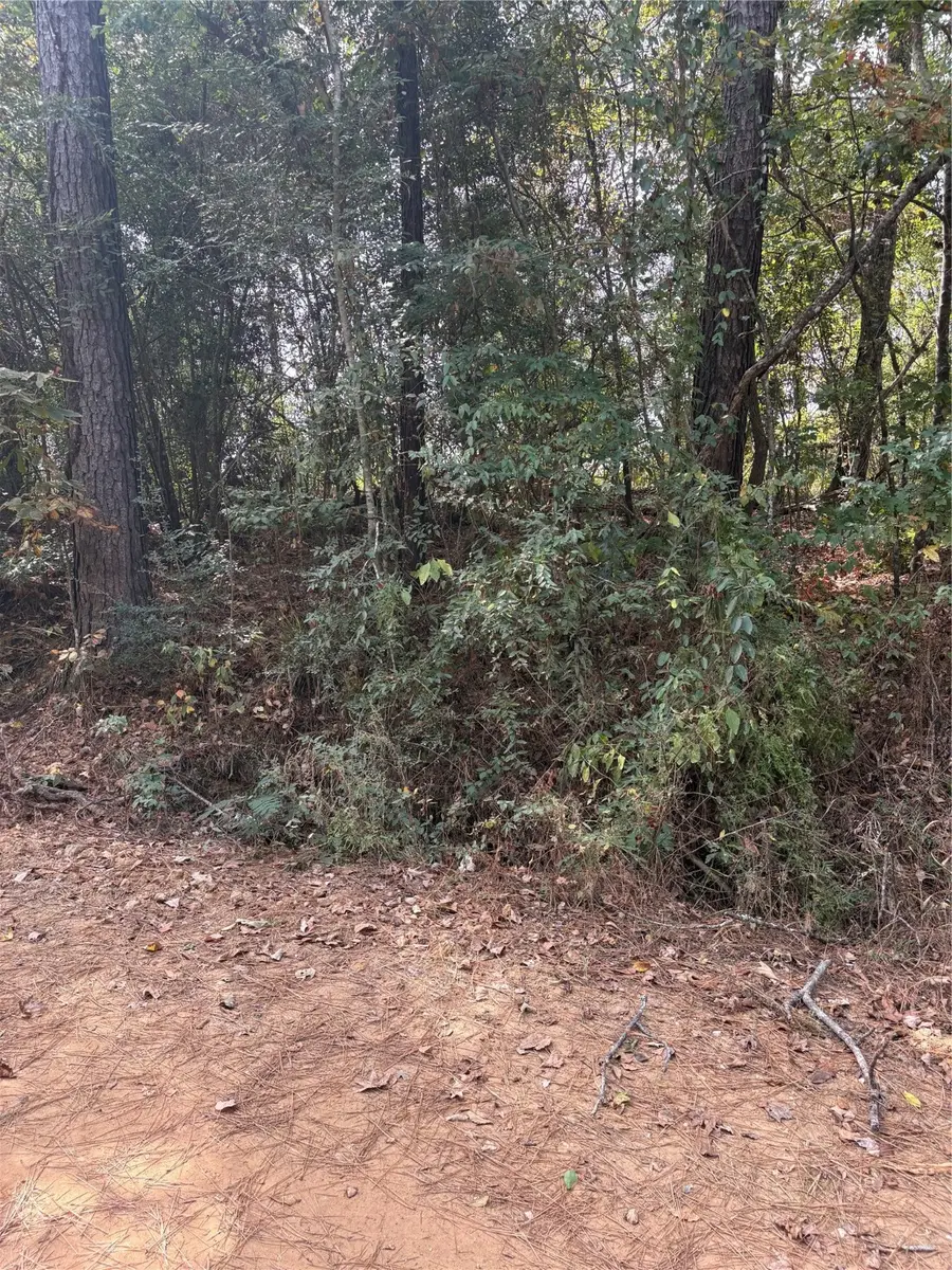 TBD Glen Nettles Road, Livingston, TX 77351 - Image #2