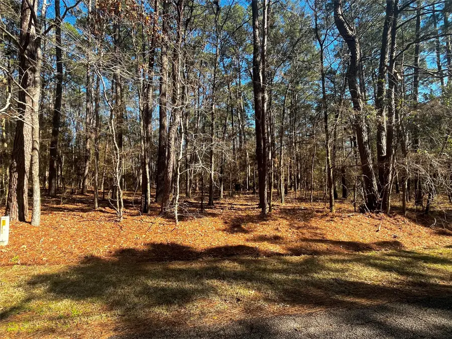 55 Green Tree Drive, Coldspring, TX 77331 - Image #3