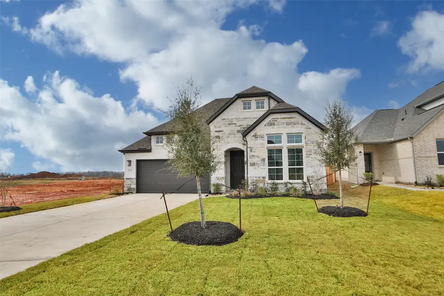 21130 Sunlight Grove Drive, Rosharon, TX 77583 - #2