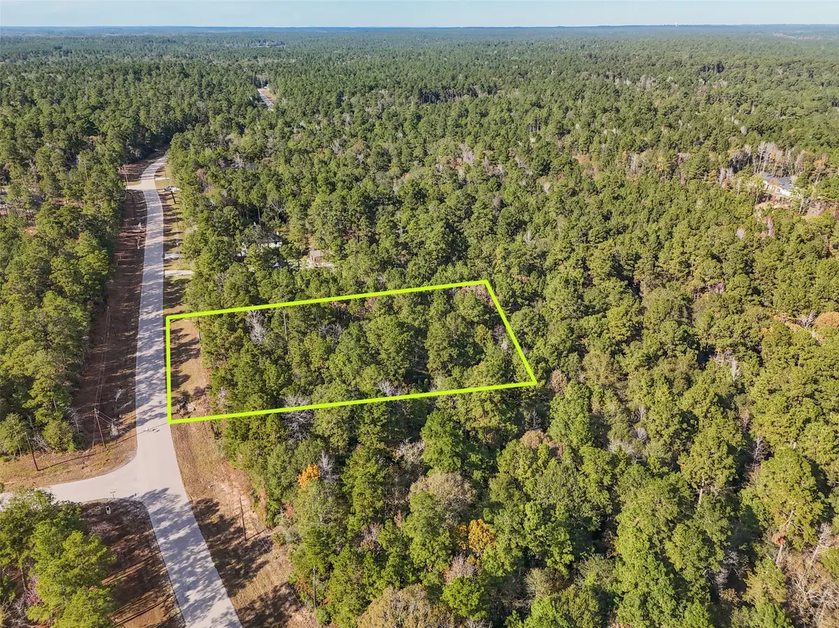 0 Windmill Road, New Waverly, TX 77358 - Image #1