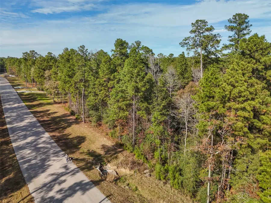 0 Windmill Road, New Waverly, TX 77358 - Image #3