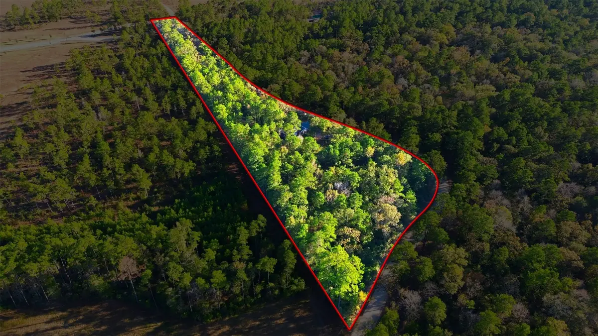 525 Bill Hales Road, Willis, TX 77378 - #1