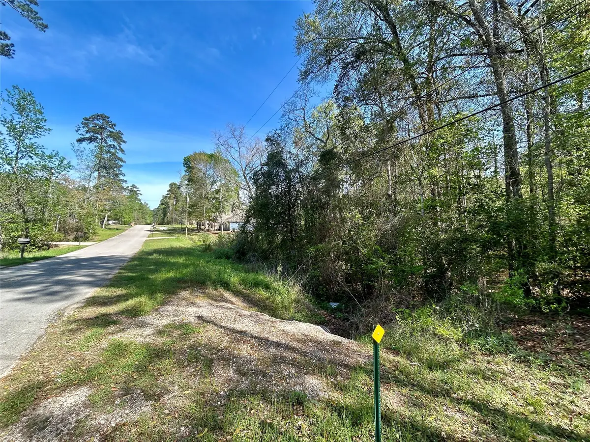Lot 77-B Royal Lake Drive, Conroe, TX 77303 - #1