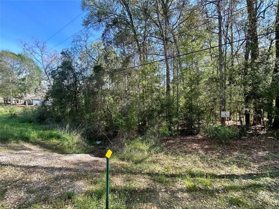 Lot 77-B Royal Lake Drive, Conroe, TX 77303 - #2