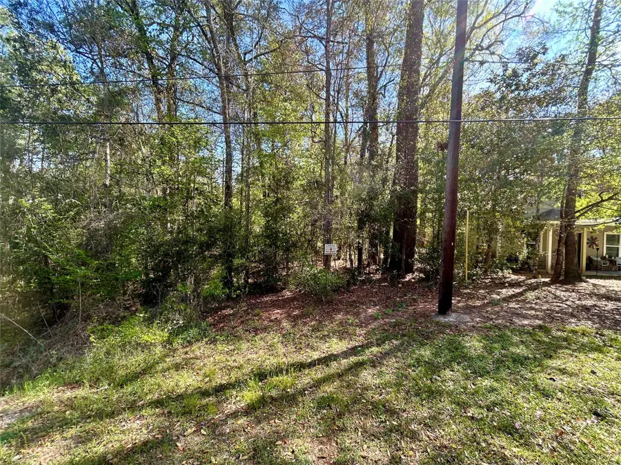 Lot 77-B Royal Lake Drive, Conroe, TX 77303 - #3