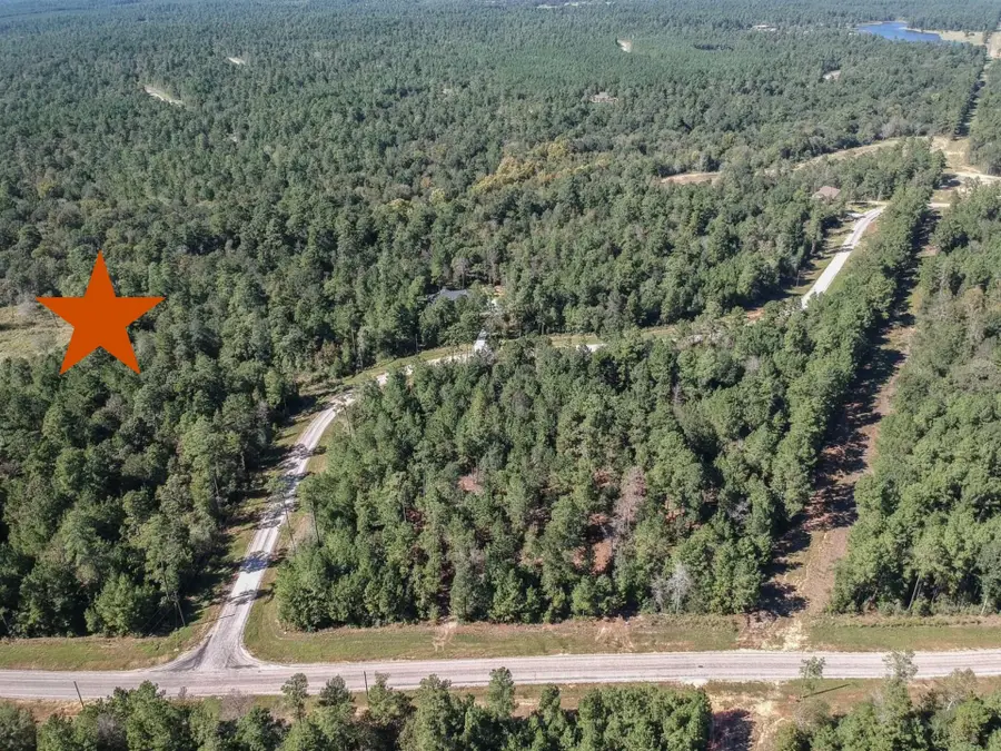 777 Red Hawk Road, Huntsville, TX 77340 - Image #3