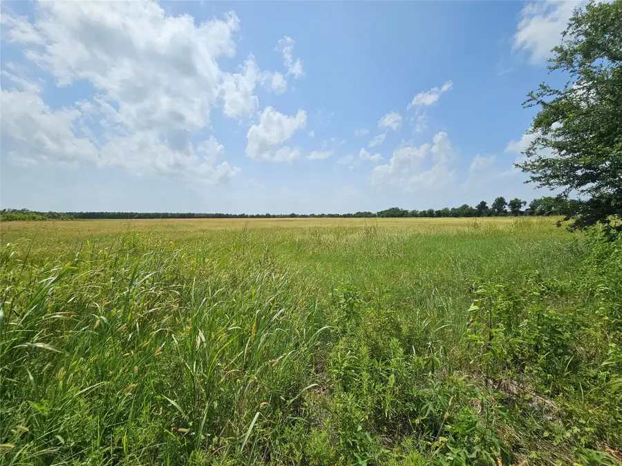 Center Peters Road, Crosby, TX 77532 - #2
