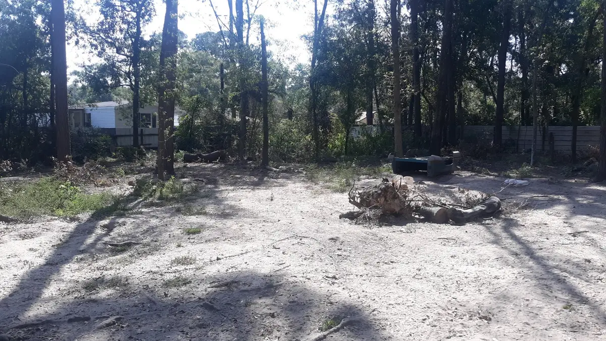 0000 Stevens St, New Caney, TX 77357 - Image #1