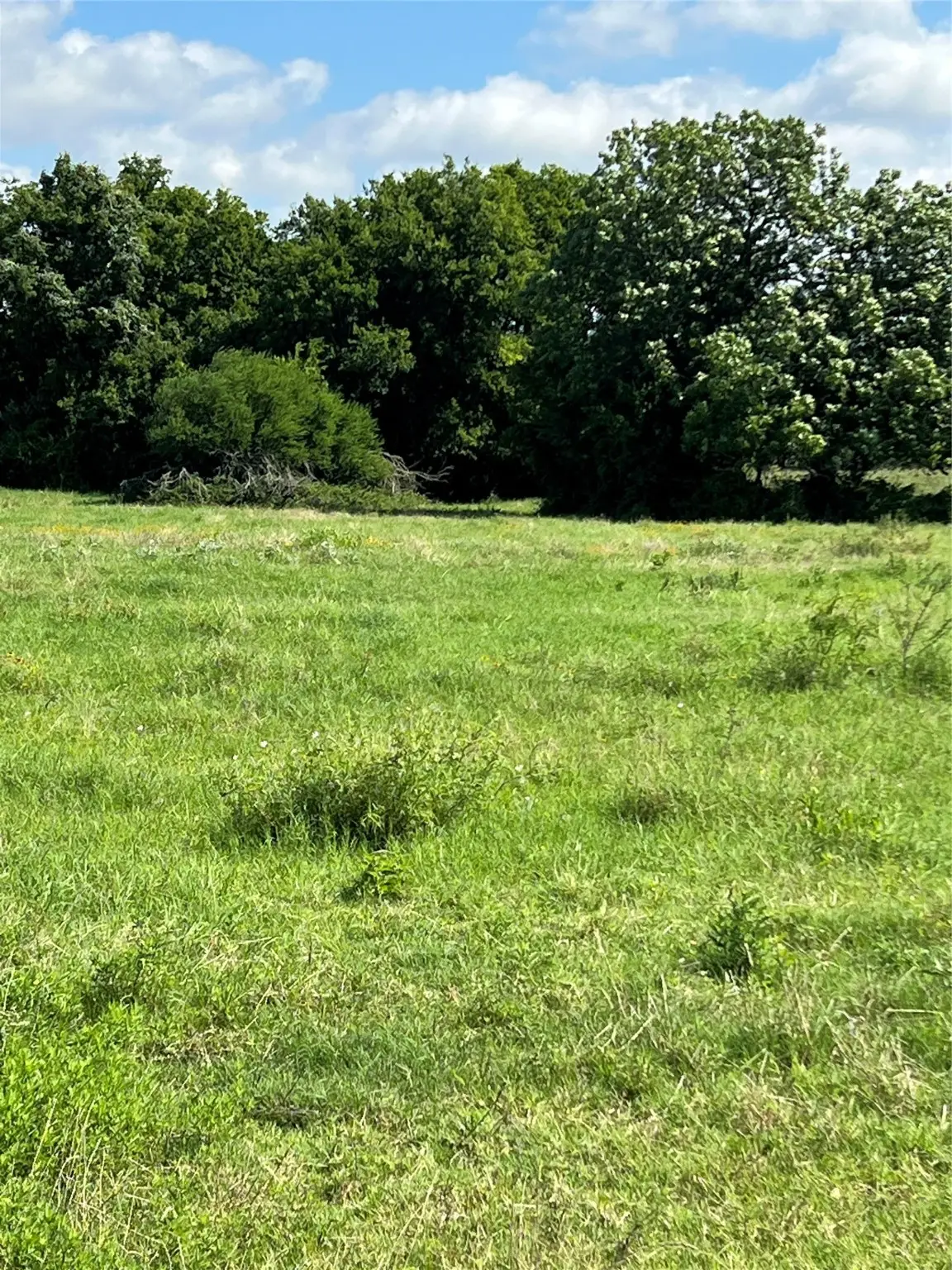 399 Prune Road, La Grange, TX 78945 - Image #1