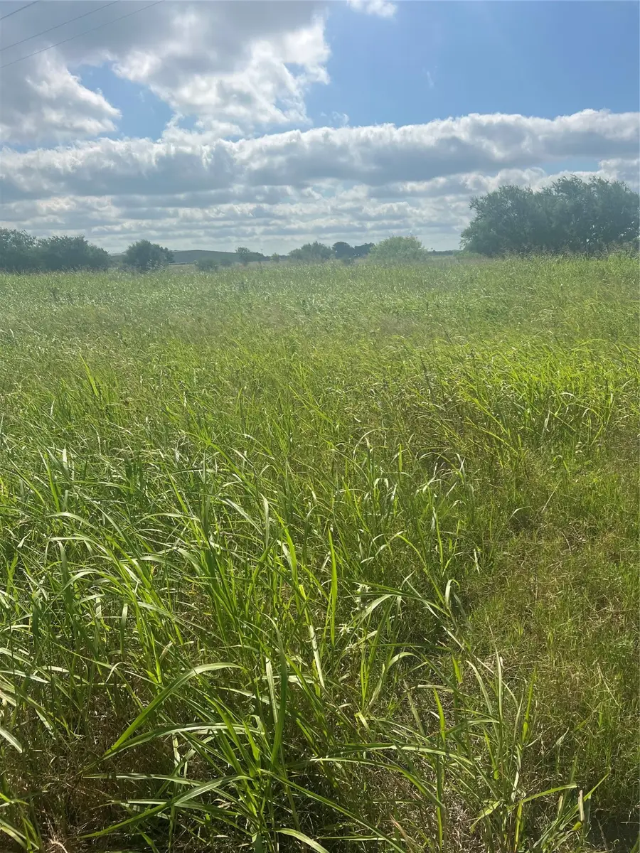 399 Prune Road, La Grange, TX 78945 - Image #3