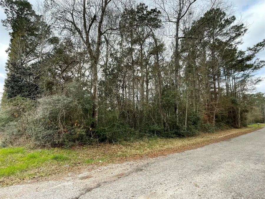 0 Codner Drive, Shepherd, TX 77371 - #3