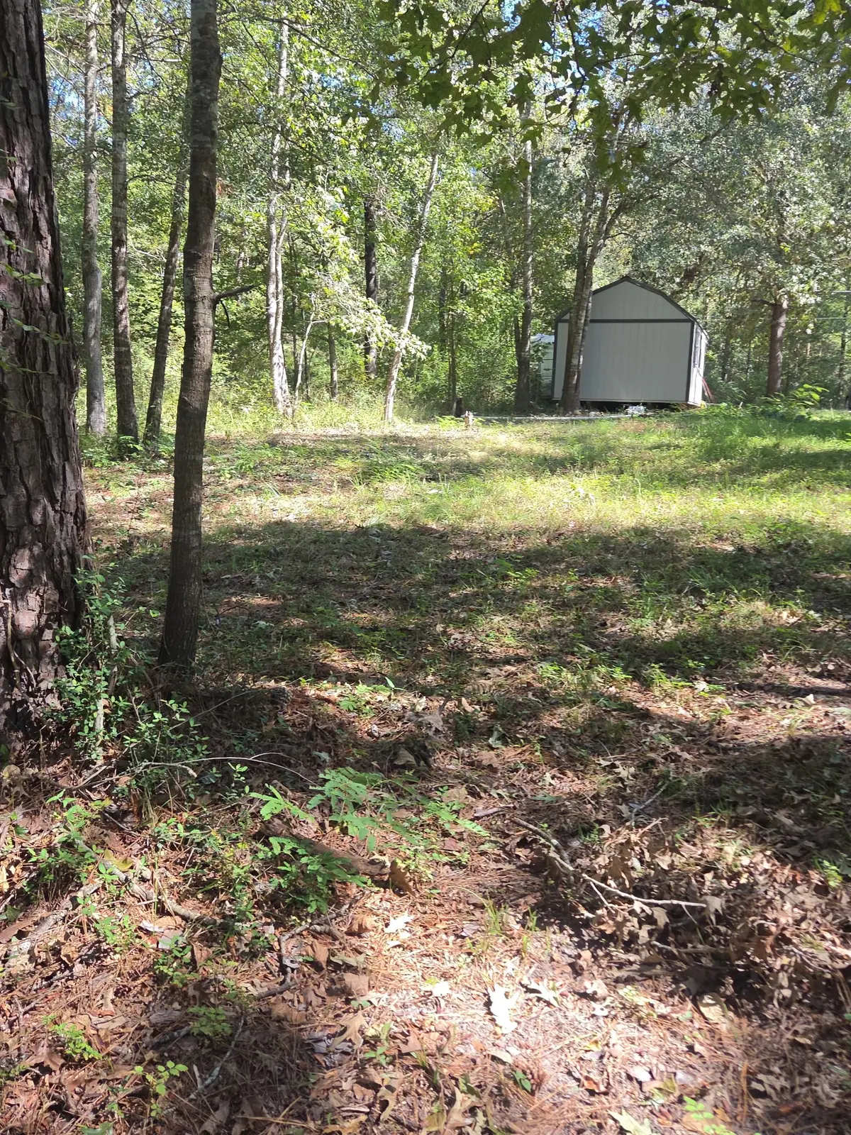 25 Road 2722, Cleveland, TX 77327 - #1