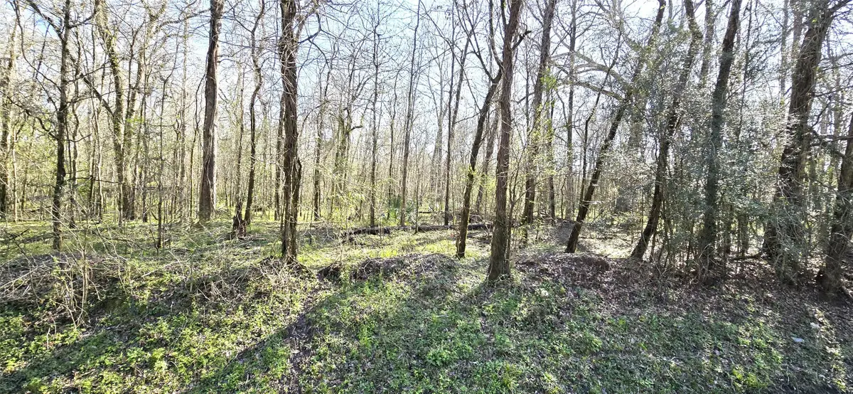 TBD County Road 2500, Liberty, TX 77575 - #1