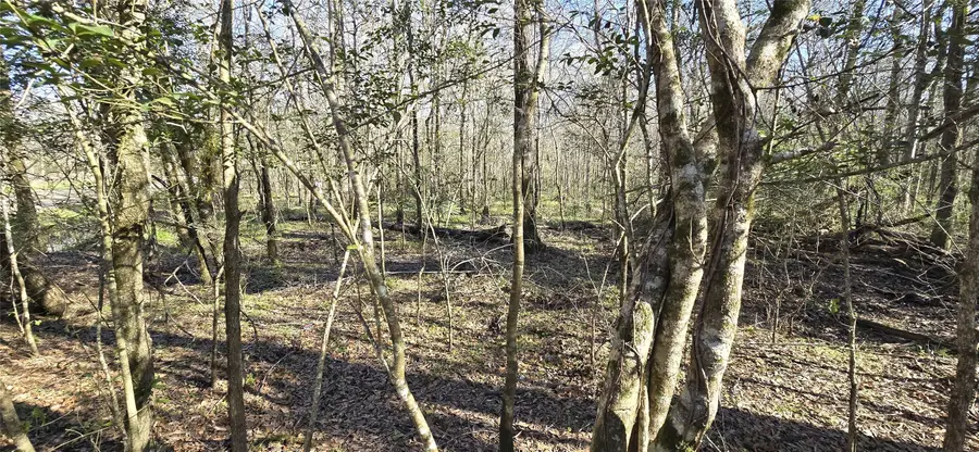 TBD County Road 2500, Liberty, TX 77575 - #2