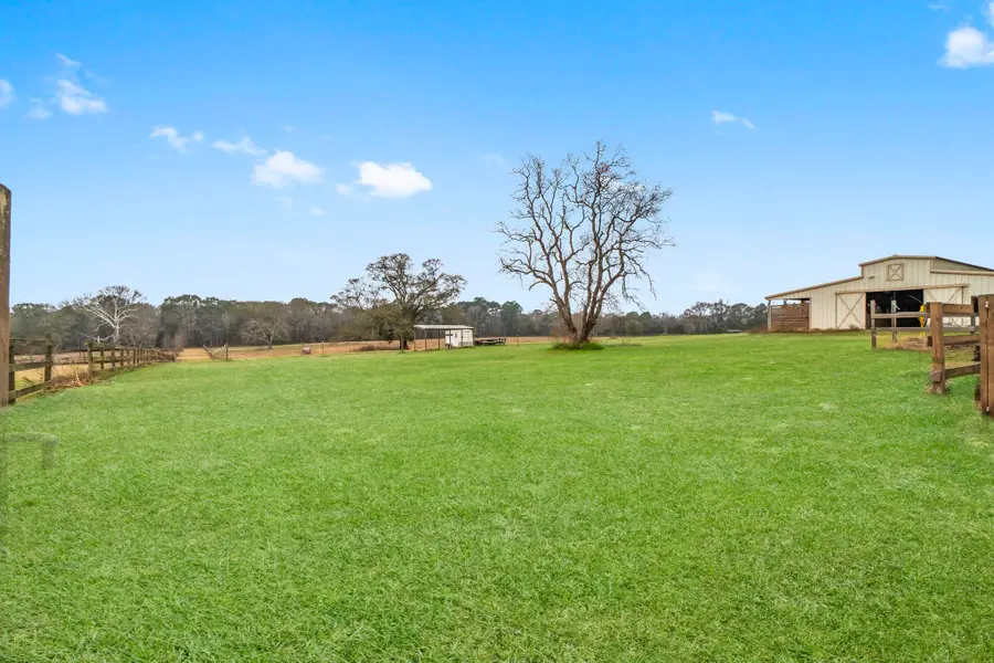 18226 Fm 1484 Road, Conroe, TX 77303 - Image #3