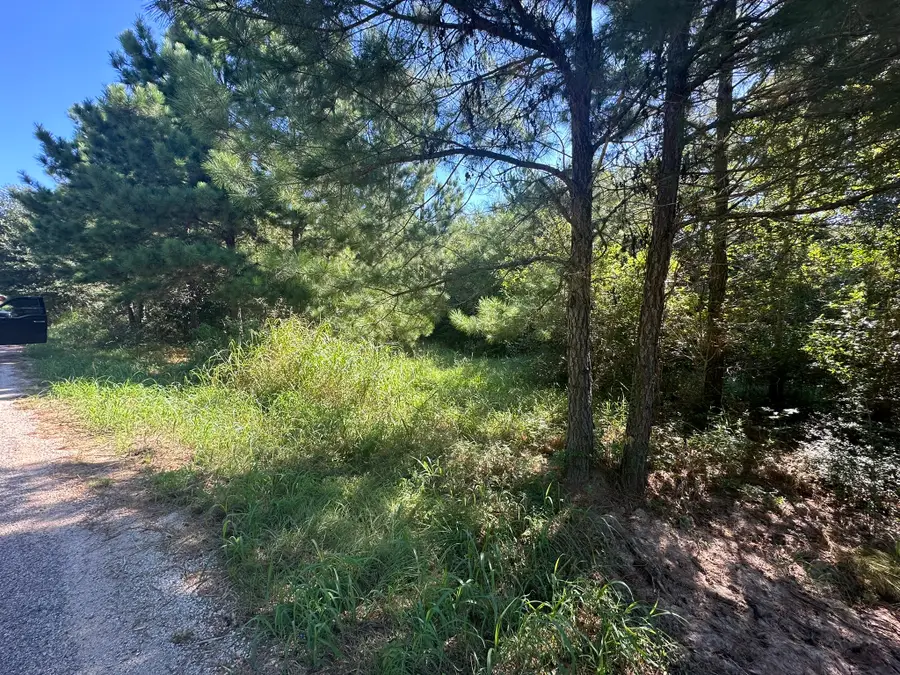 0 Alum Creek Road, Smithville, TX 78957 - #3