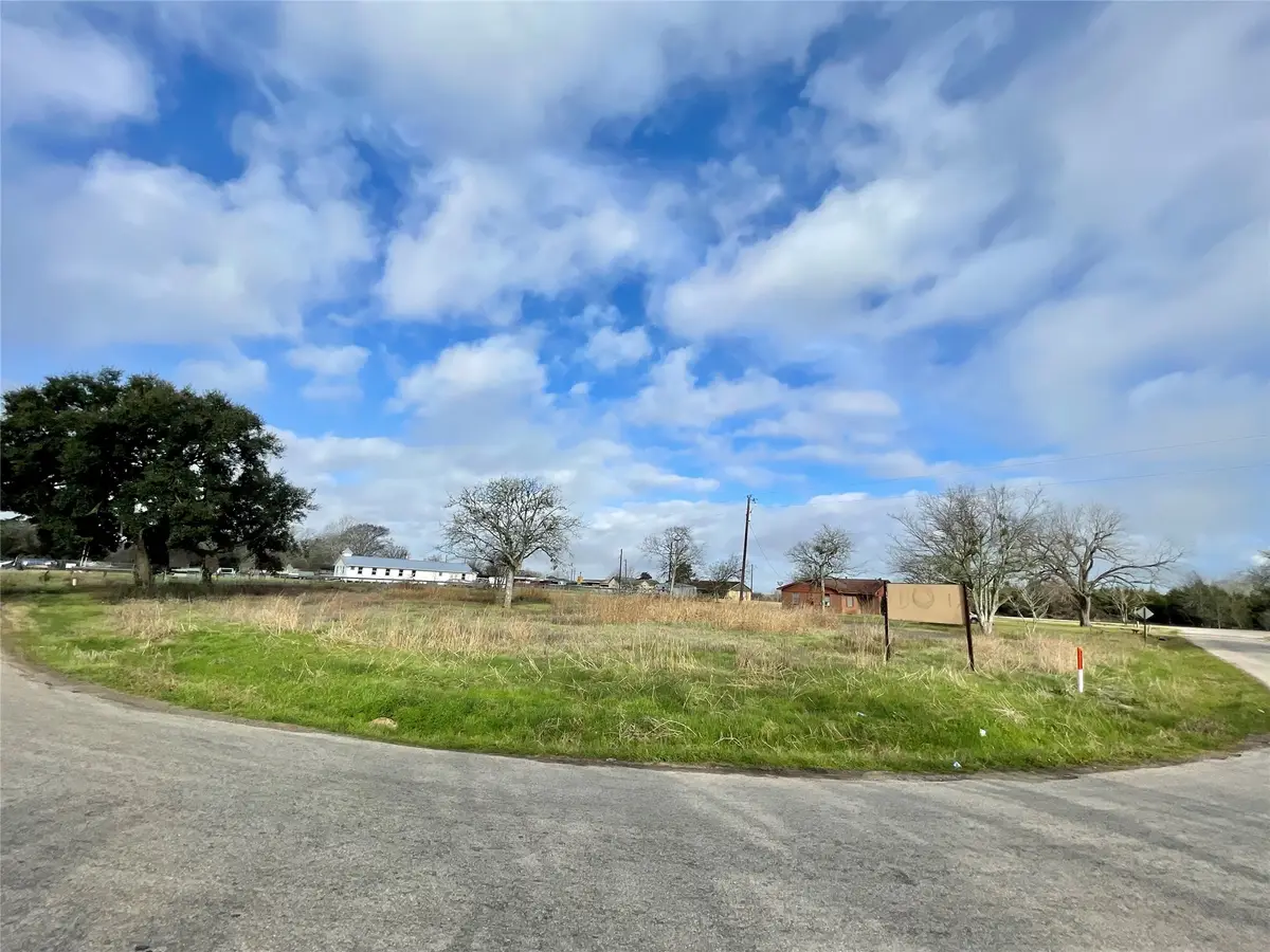 0 Chadwick Hogan Road, Chappell Hill, TX 77426 - Image #1