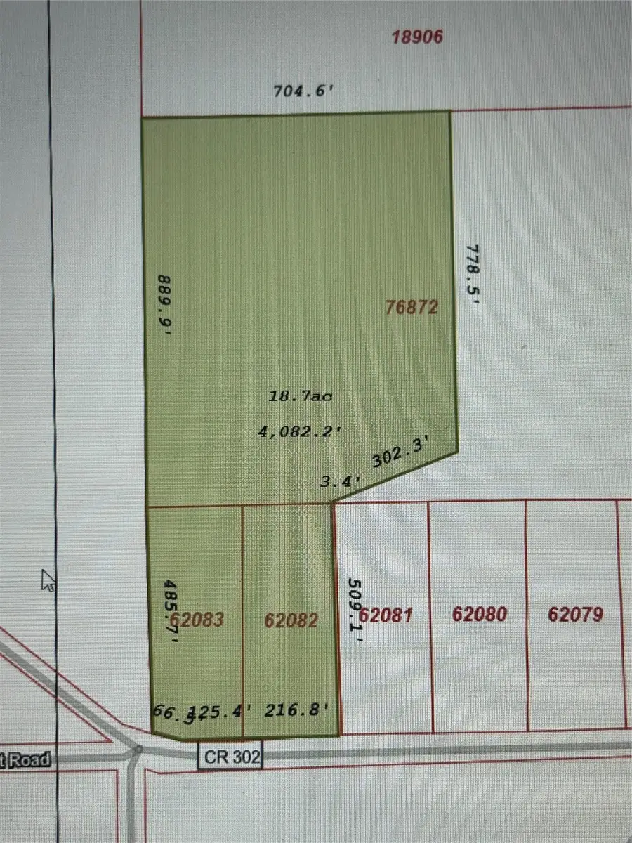 000 County Road 302, Plantersville, TX 77363 - Image #2