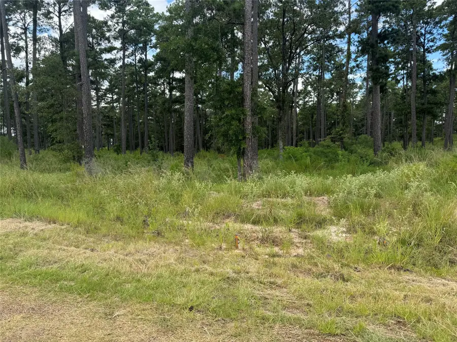 030 Private Road 6026, Brookeland, TX 75931 - Image #2