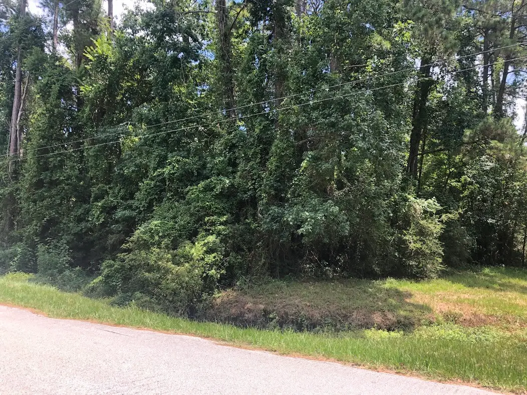 0 Bettyann Lane, Houston, TX 77339 - Image #1