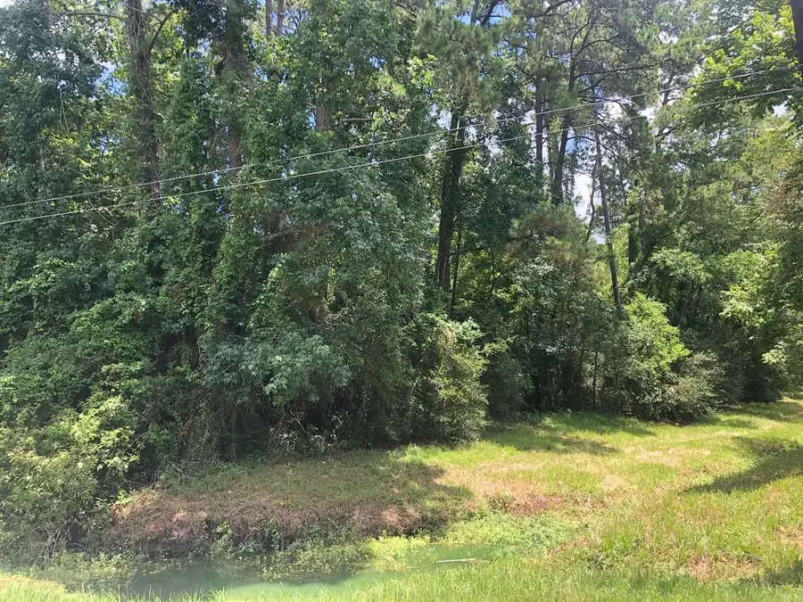 0 Bettyann Lane, Houston, TX 77339 - Image #2