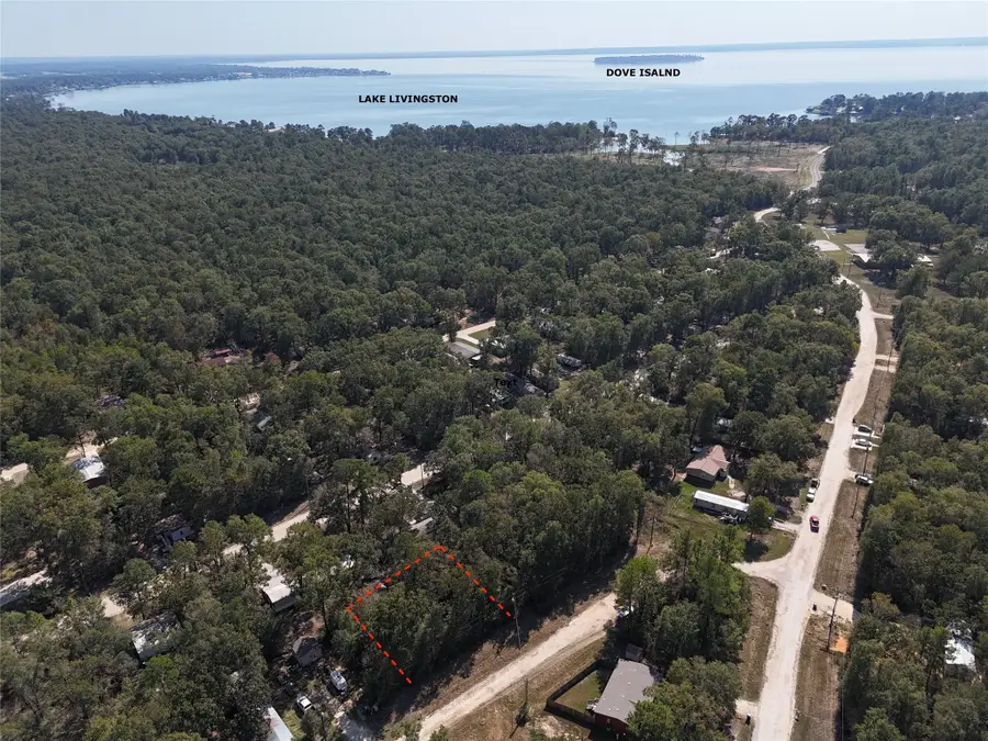 TBD Wellington, Livingston, TX 77351 - Image #2