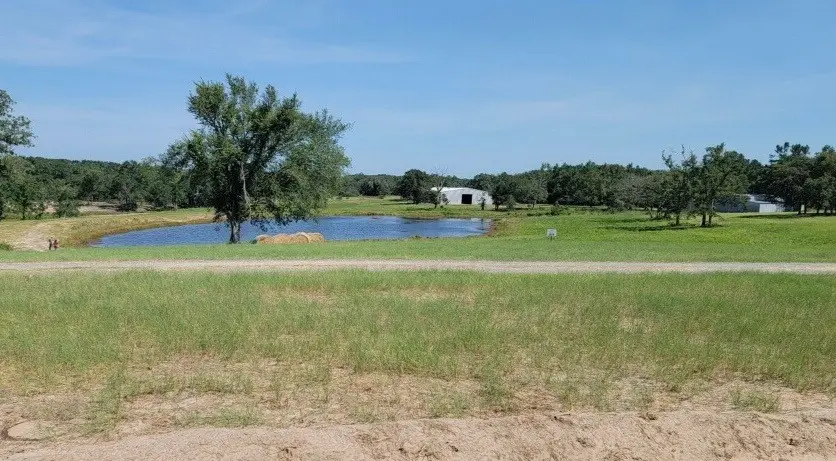 3803 Pr 4100 W, Marquez, TX 77865 - #1
